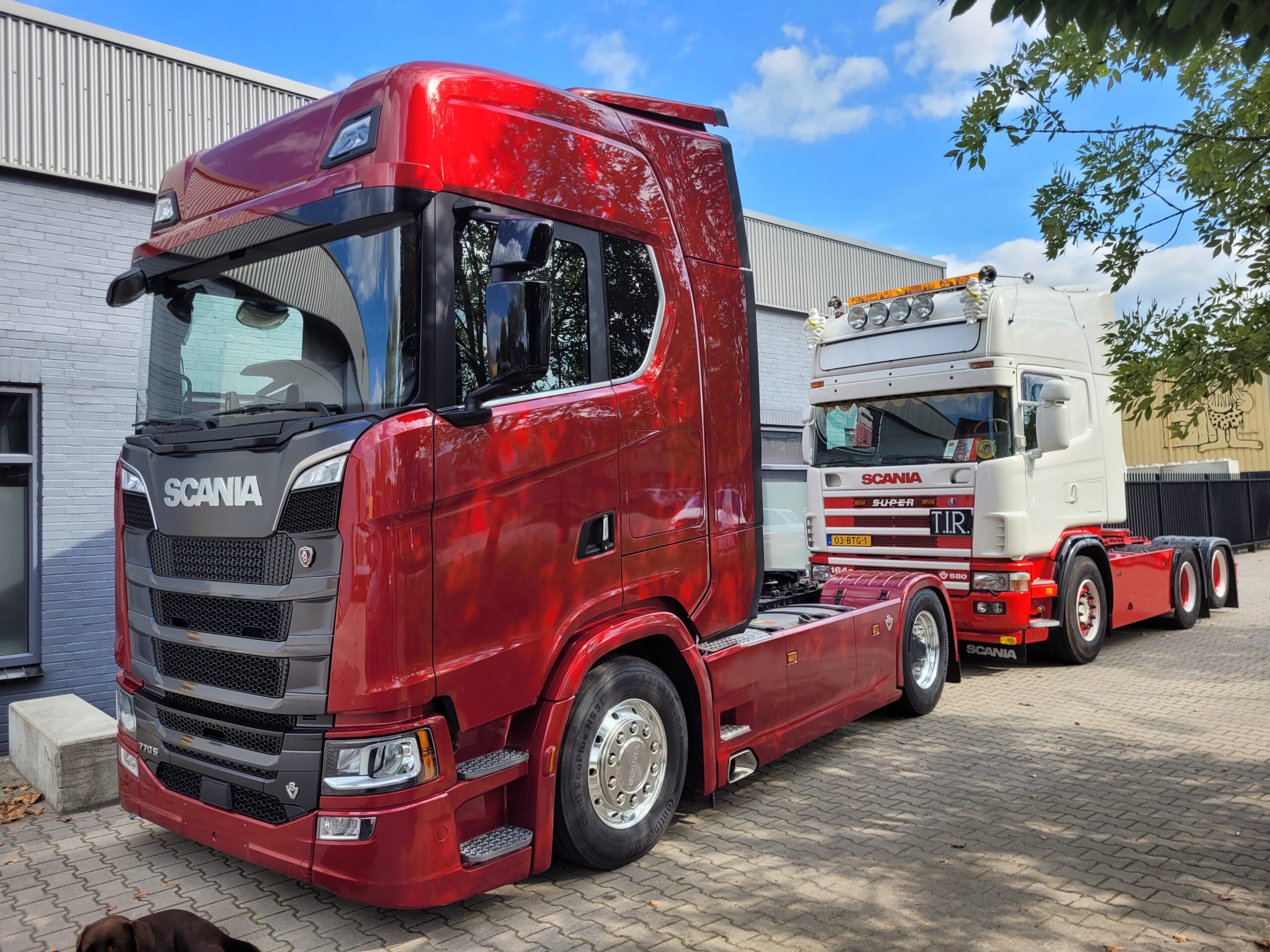 Scania S770 4X2 2022 146000km full air leather | Tom Holding BV