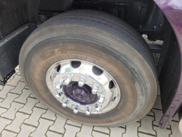 Volvo F10 Globetrotter 4X2  1990  full steel suspencion - Image 11